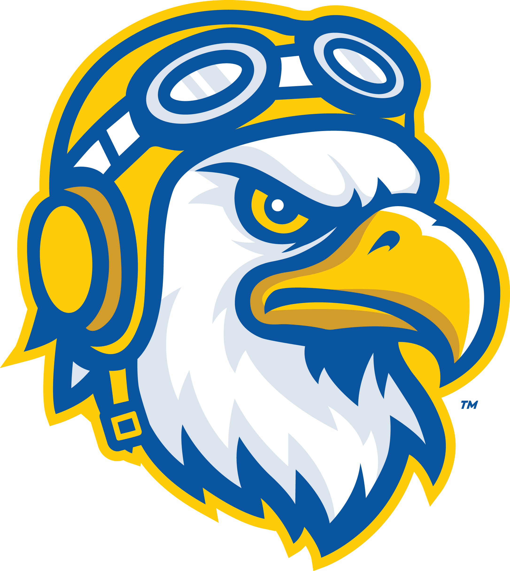 Embry-Riddle Aeronautical University
